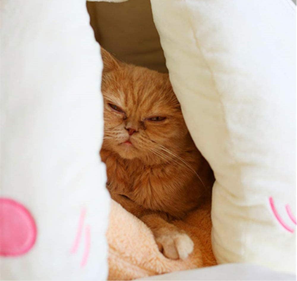 Garlic Pet Bed - Garlic bulb shaped cat bed
