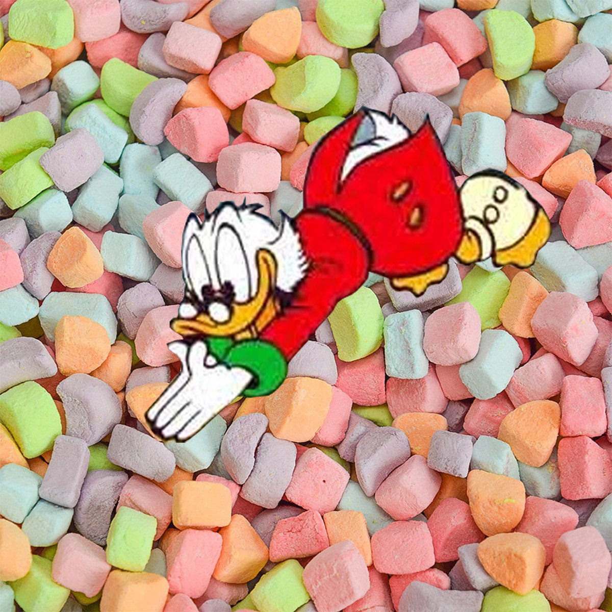 giant 40 lb bag of dehydrated marshmallows lucky charms