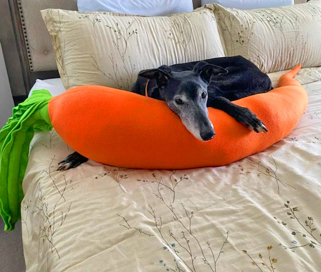 Giant Carrot Body Pillow