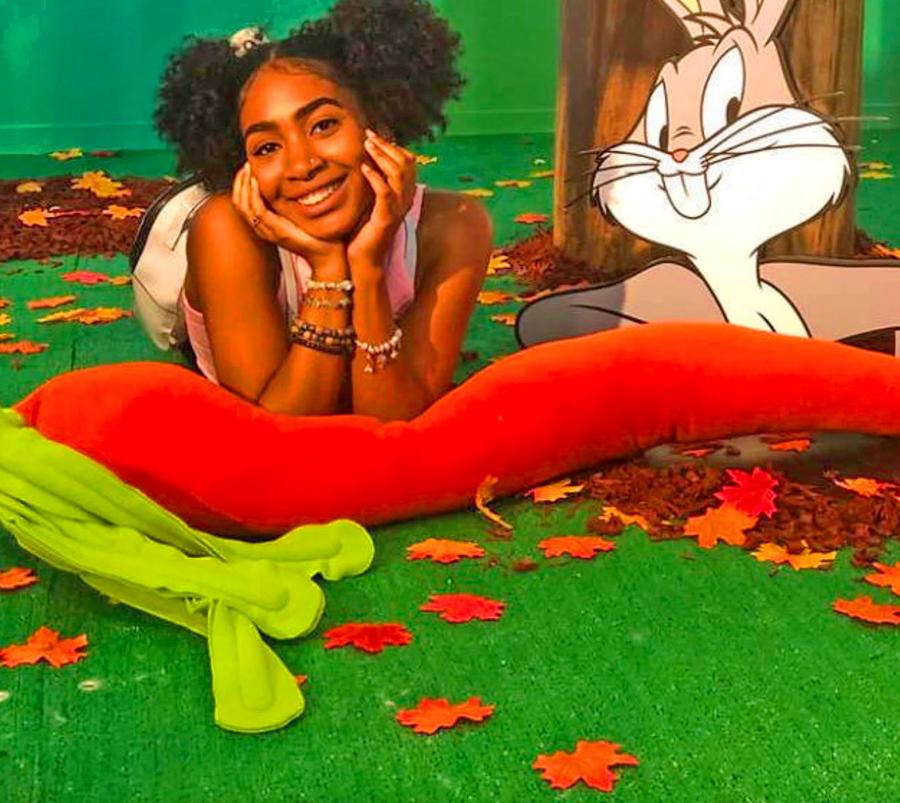 Giant Carrot Body Pillow
