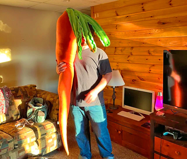Giant Carrot Body Pillow