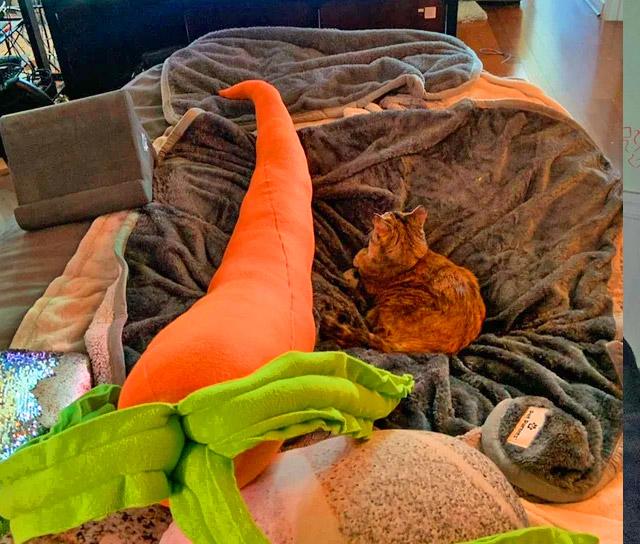 Giant Carrot Body Pillow