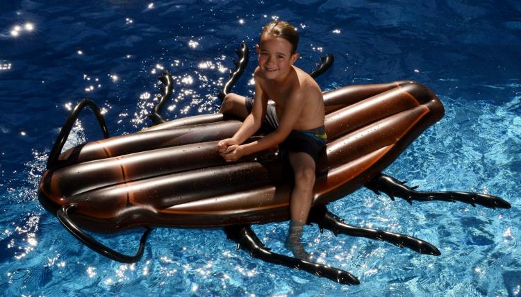 Giant Cockroach Pool Float - Cockroach inflatable lake float