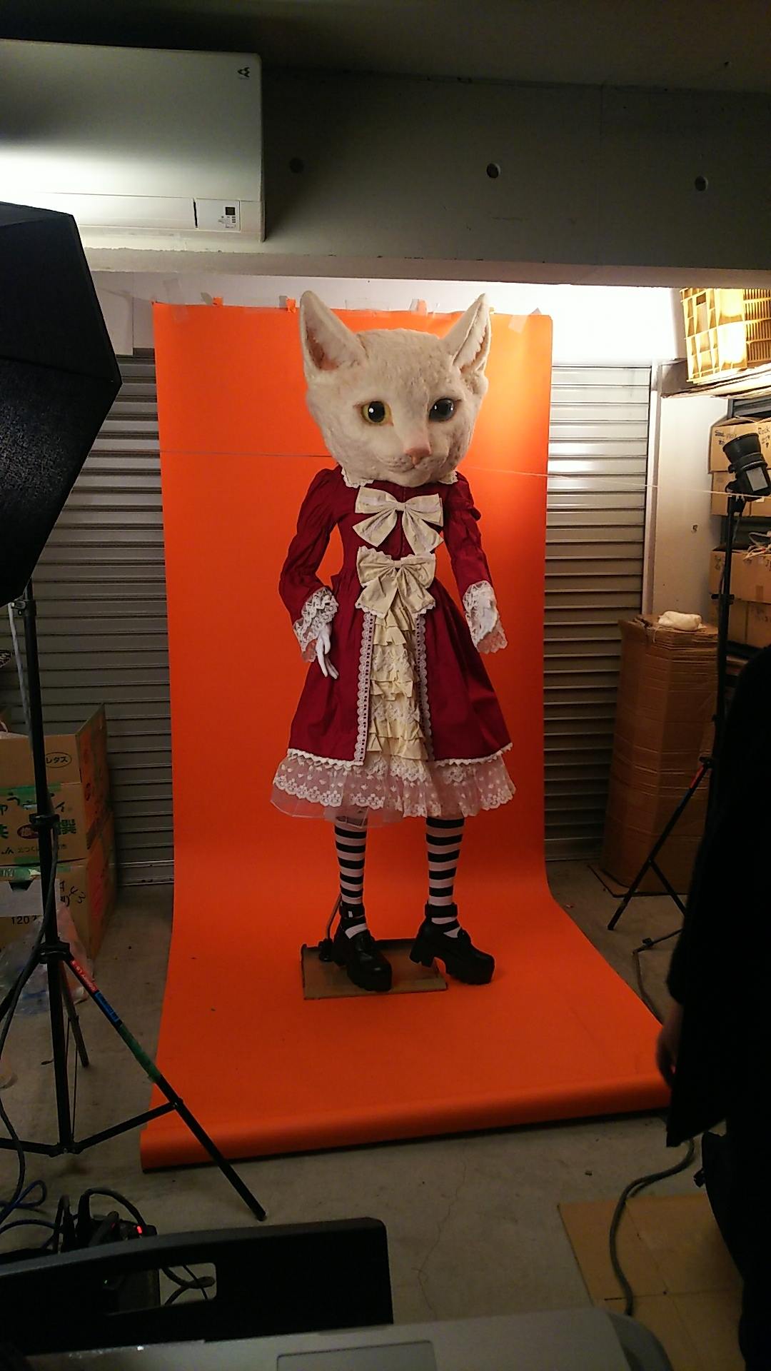 Giant Super Realistic Cat Head Mask