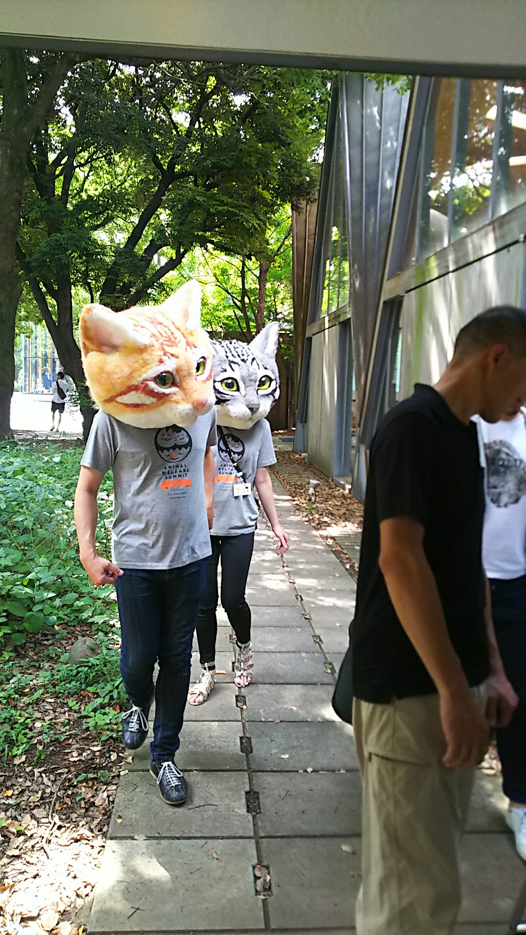 Giant Super Realistic Cat Head Mask
