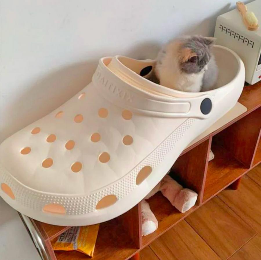 Giant Croc Shoe Bassinet - Huge Croc Dog Bed / Cat Bed