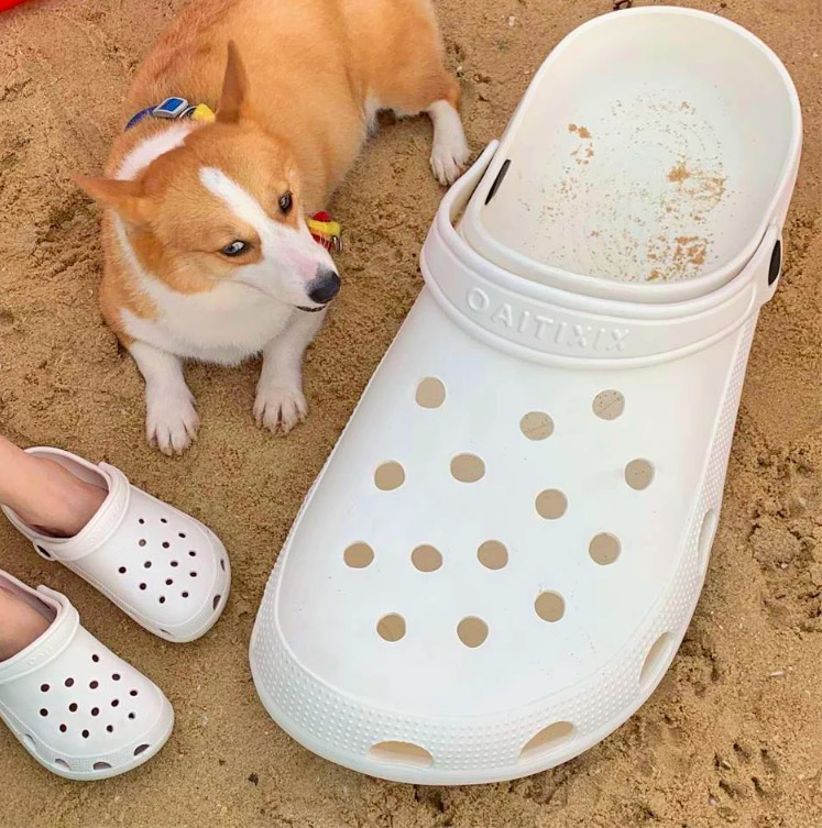 Giant Croc Shoe Bassinet - Huge Croc Dog Bed / Cat Bed