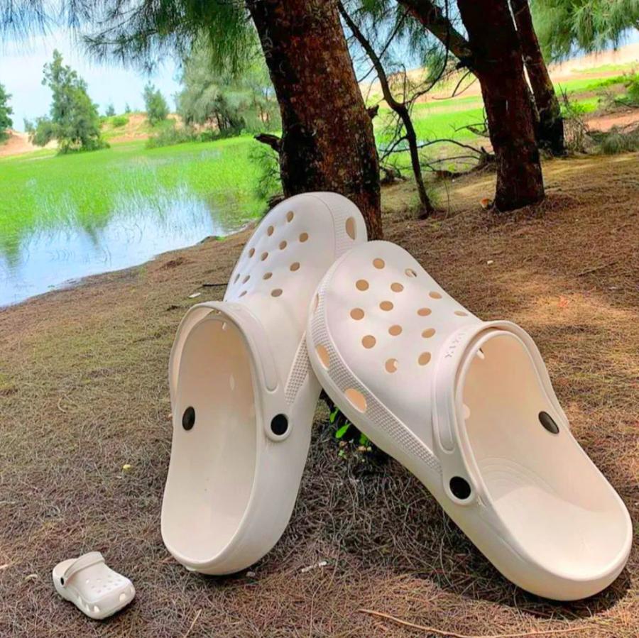 Giant Croc Shoe Bassinet - Huge Croc Dog Bed / Cat Bed