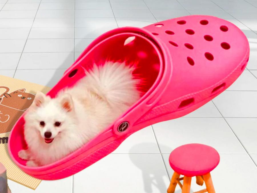 Giant Croc Shoe Bassinet - Huge Croc Dog Bed / Cat Bed