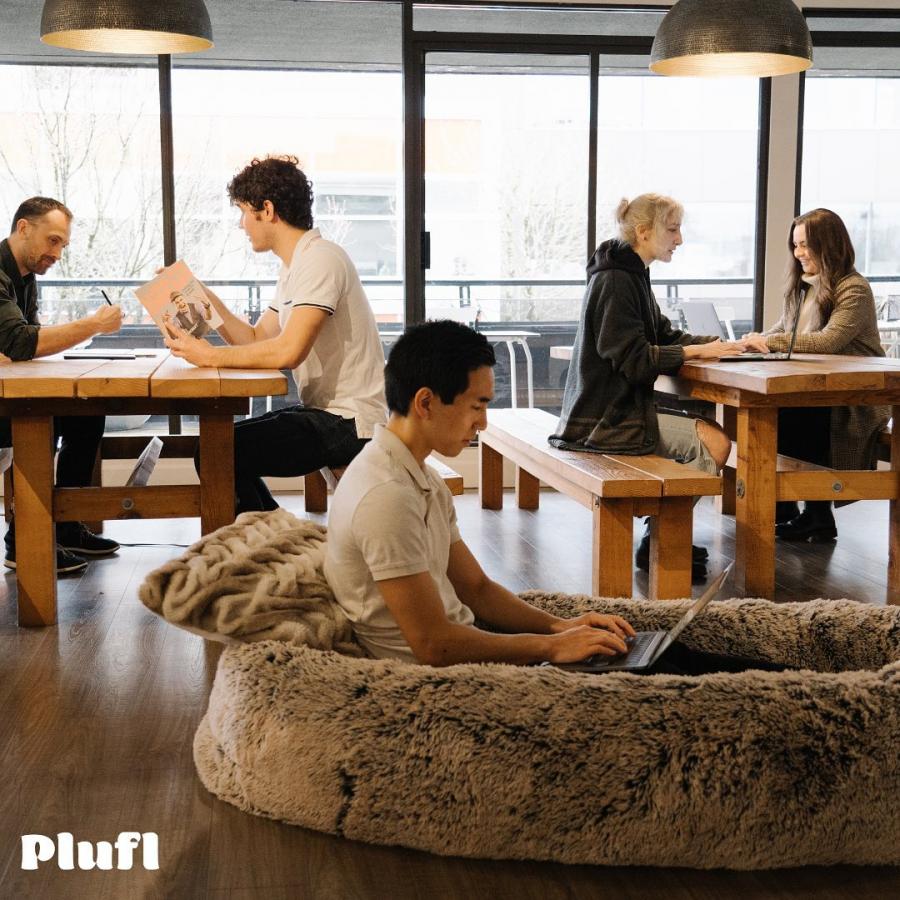 Plufl Giant Dog Bed For Humans