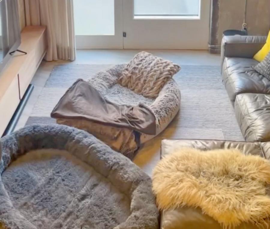 Plufl Giant Dog Bed For Humans