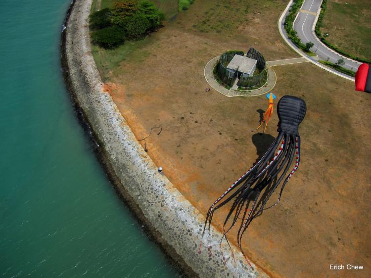 Giant Octopus Kite