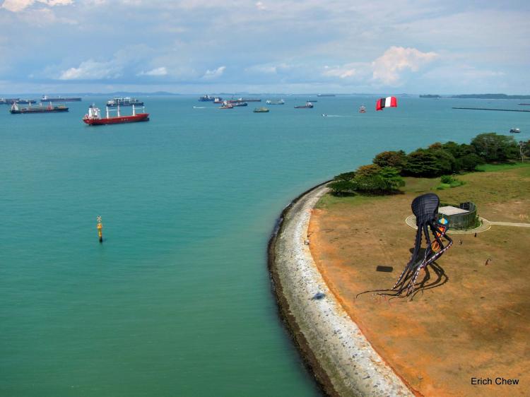 Giant Octopus Kite