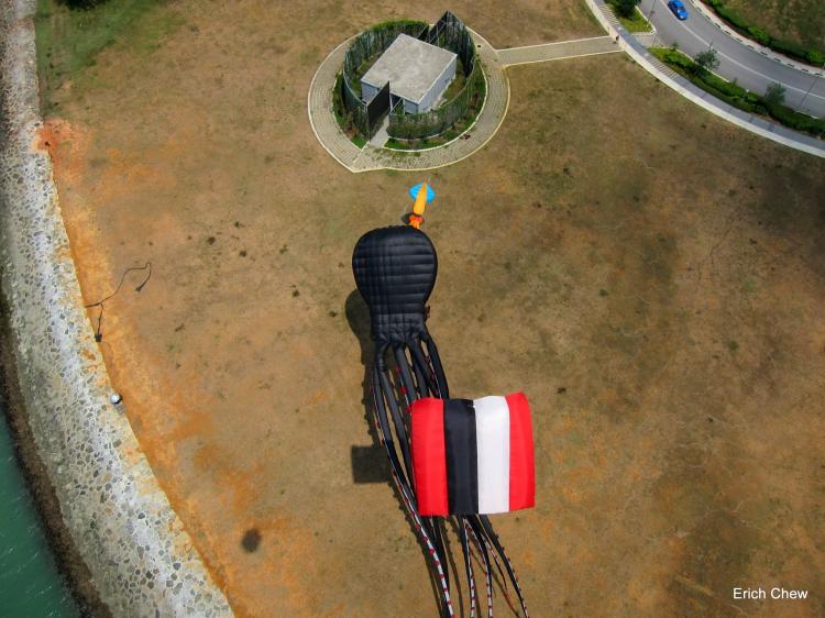 Giant Octopus Kite