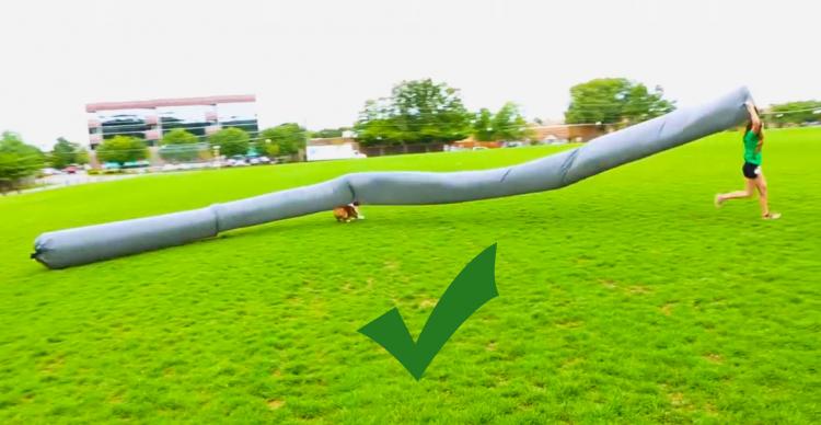 Giant Snake Solar Balloon Kite