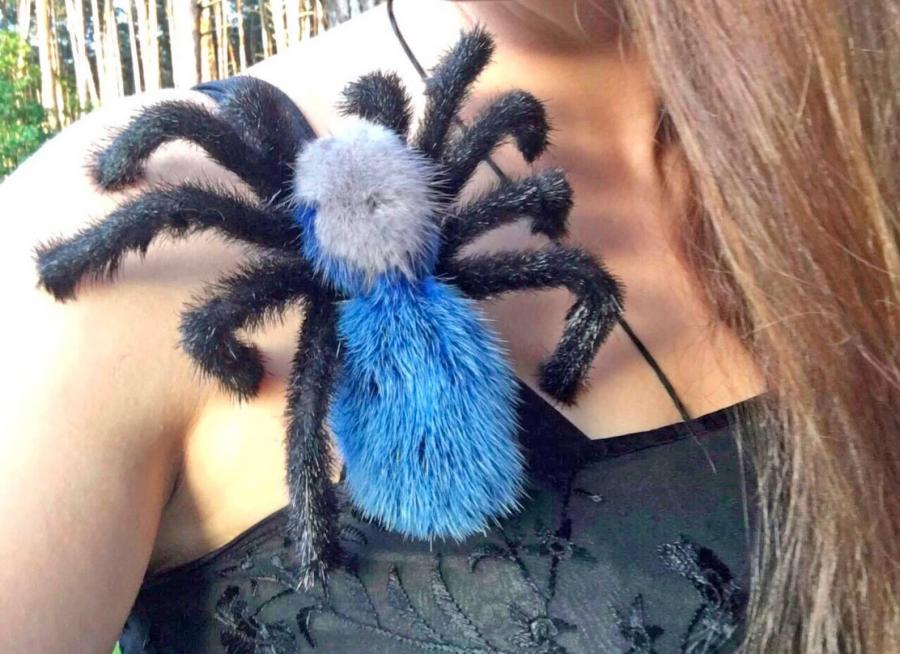 Giant Tarantula Spider Pillow