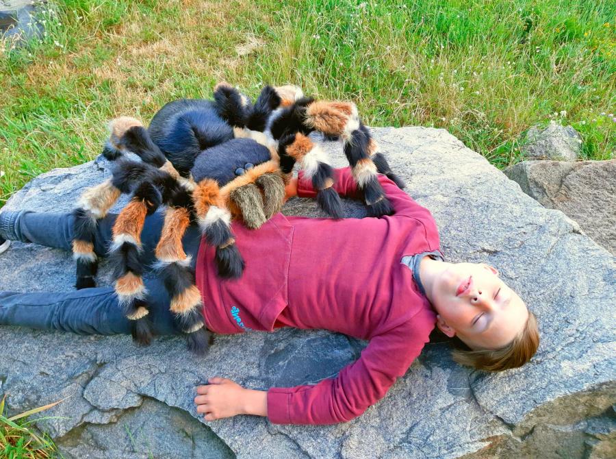 Giant Tarantula Spider Pillow