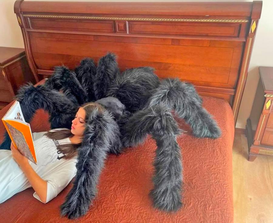 Giant Tarantula Spider Pillow