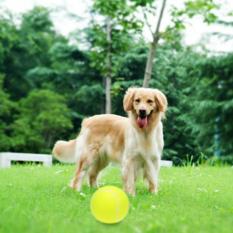 Giant Tennis Ball