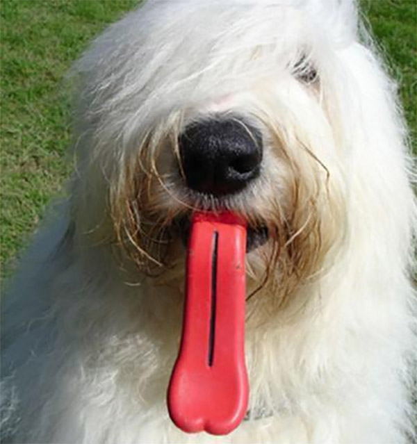 Giant Tongue Dog Toy - Humunga Tongue Chew Toy Gives Your Dog a Giant Tongue