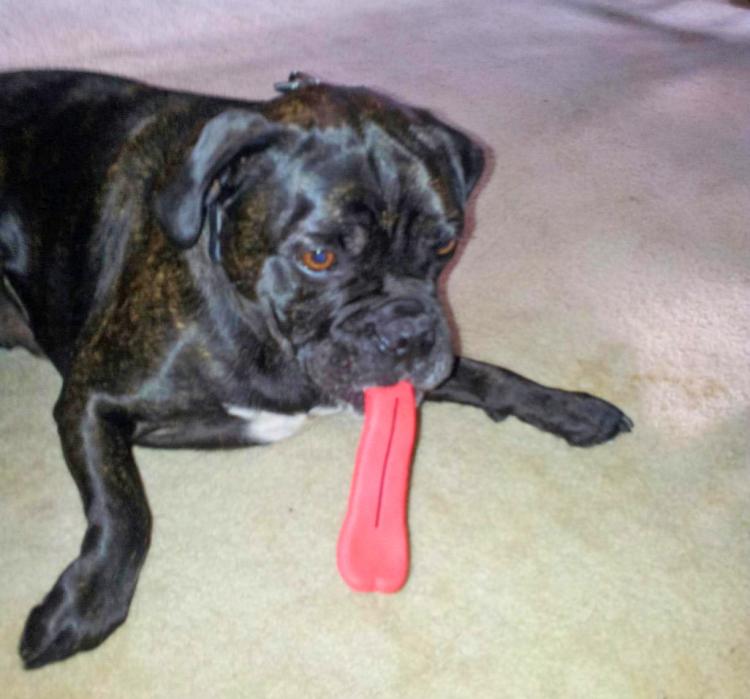 Giant Tongue Dog Toy - Humunga Tongue Chew Toy Gives Your Dog a Giant Tongue