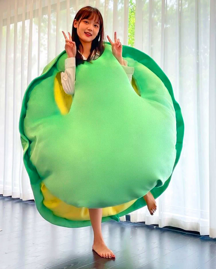 Giant Wearable Turtle Shell Pillow