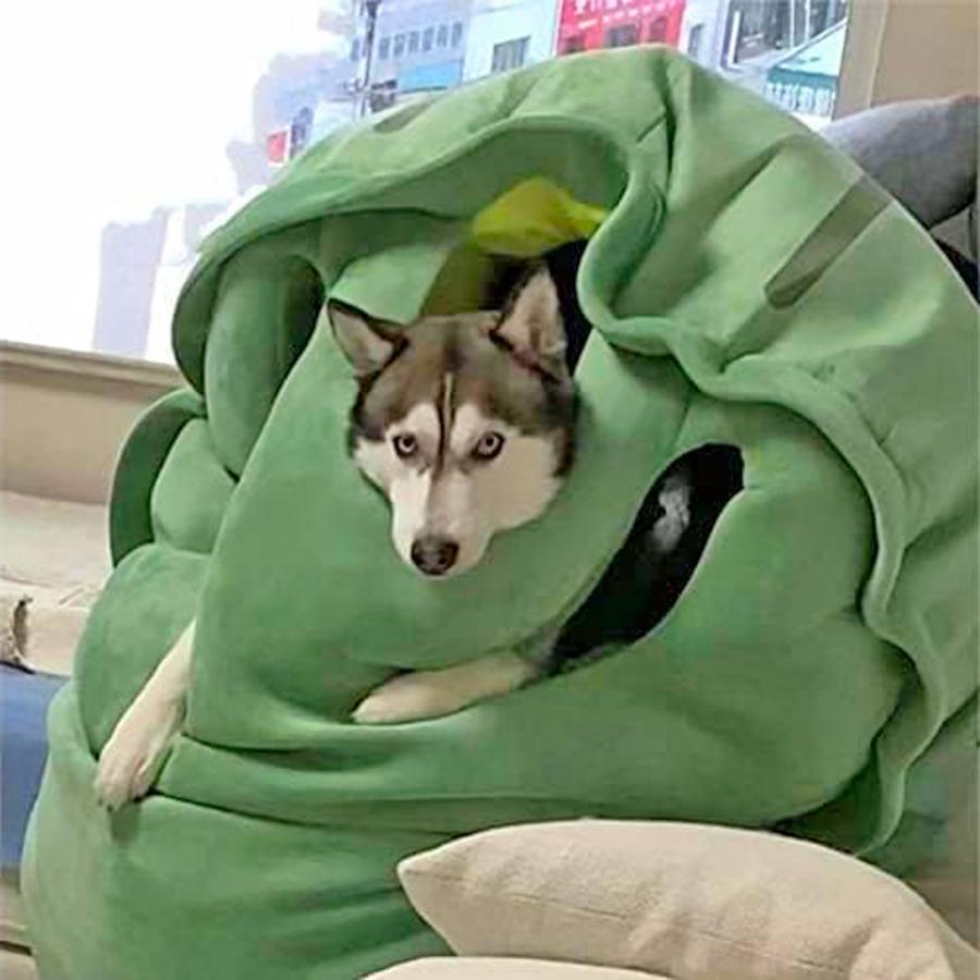 Giant Wearable Turtle Shell Pillow