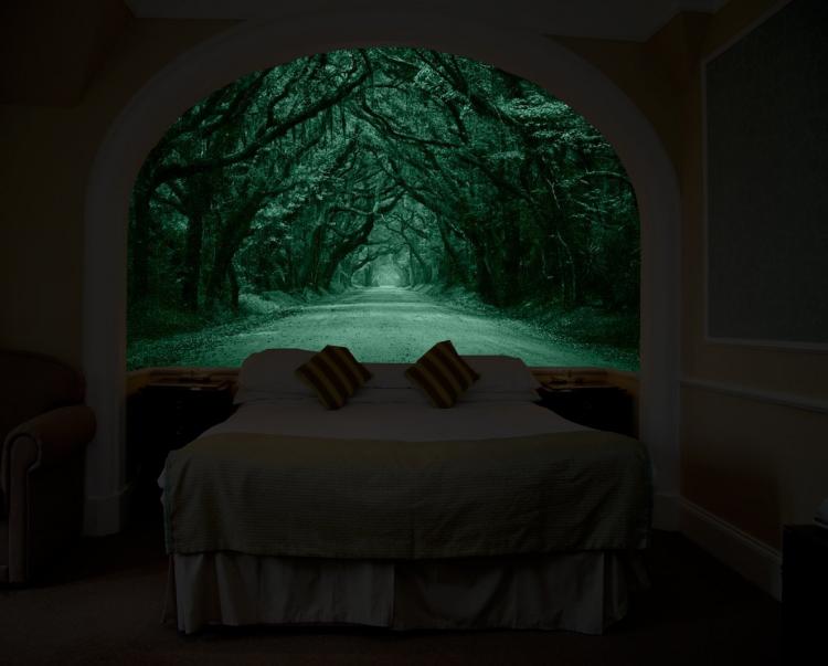 StarTonight Glow In The Dark Wall Mural Window