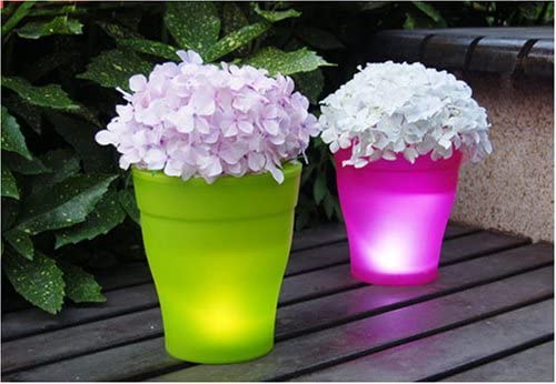 Glow In the Dark Planter - LED illuminated plant pot