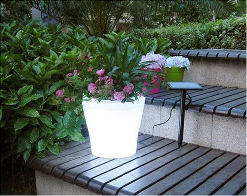 Glow In the Dark Planter - LED illuminated plant pot