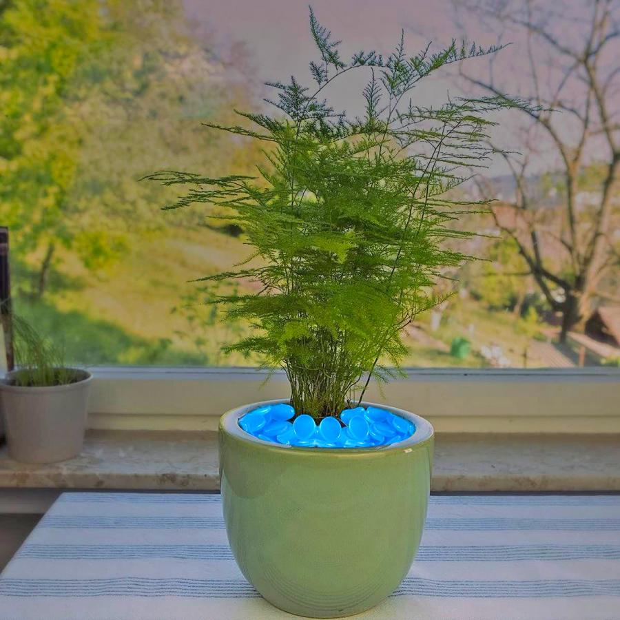 Glow In the Dark Planter - LED illuminated plant pot
