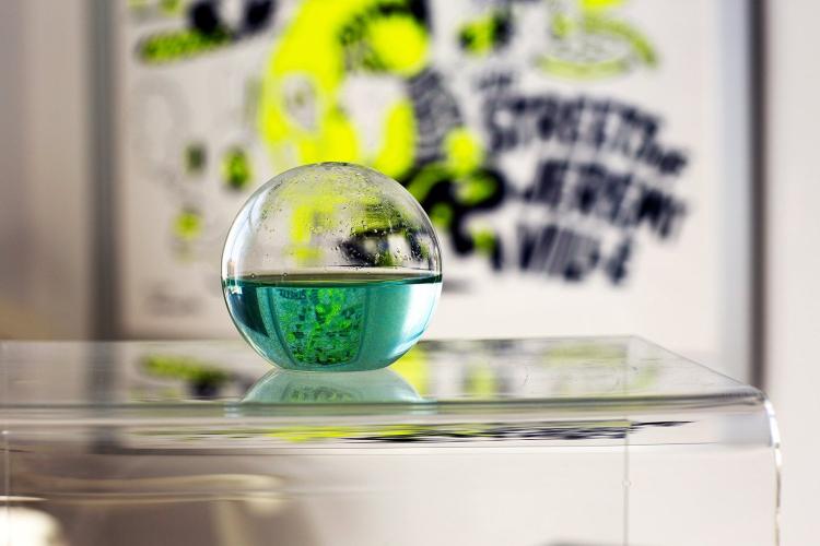 Round Glowing Marine Plankton Aquarium - Dino Pet Glowing Dinoflagellates
