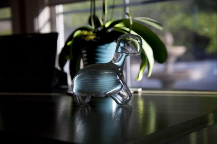 Dinosuair Shaped Glowing Marine Plankton Aquarium - Dino Pet Glowing Dinoflagellates