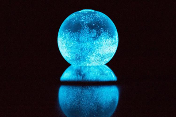 Round Glowing Marine Plankton Aquarium - Dino Pet Glowing Dinoflagellates