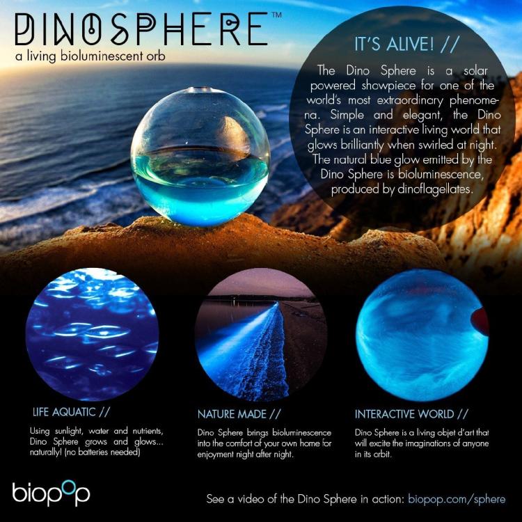 Round Glowing Marine Plankton Aquarium - Dino Pet Glowing Dinoflagellates