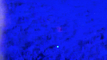Golf Ball Finding Sunglasses - Golfing Glasses Help You Find Your Lost Golf Ball - Turns Everything Blue Except Your Golf Ball