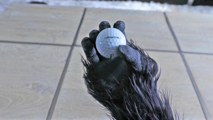 Gorilla Grabber Arm Toy