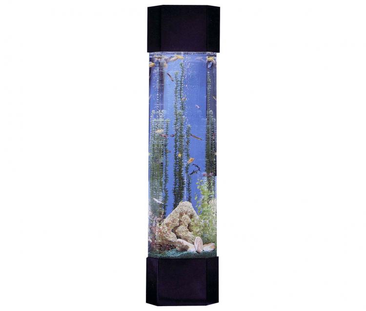 Grandfather Clock Aquarium