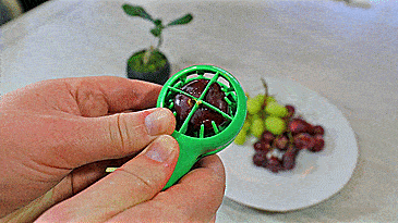 Grape Slicer Tool Cuts Grapes Into 4 Even Slices