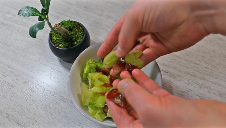 Grape Slicer Tool Cuts Grapes Into 4 Even Slices