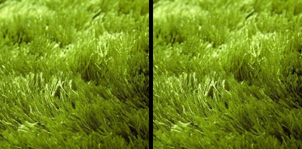 Grass Rug