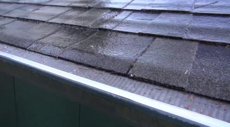 Raptor Gutter Guard micro-mesh keeps - Best Gutter screens