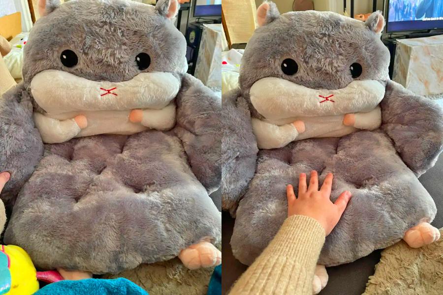 Giant Hamster Chair Cushion
