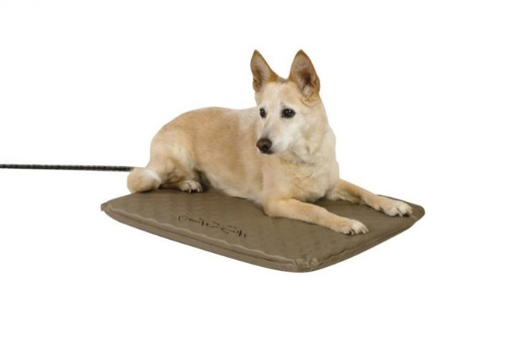 Heated Dog Mat