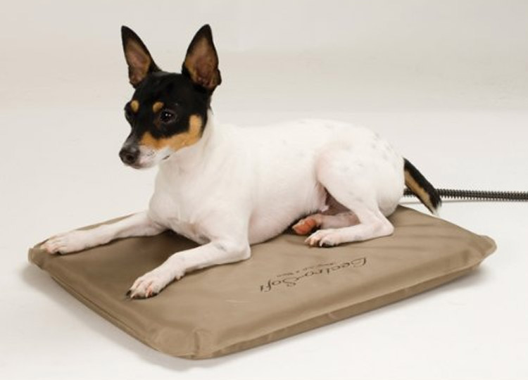 Heated Dog Mat