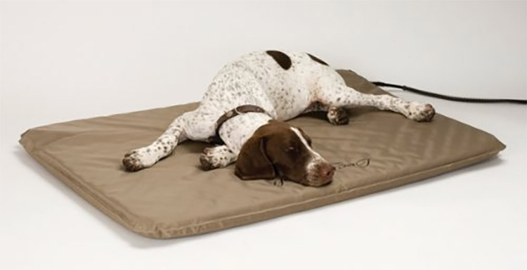 Heated Dog Mat