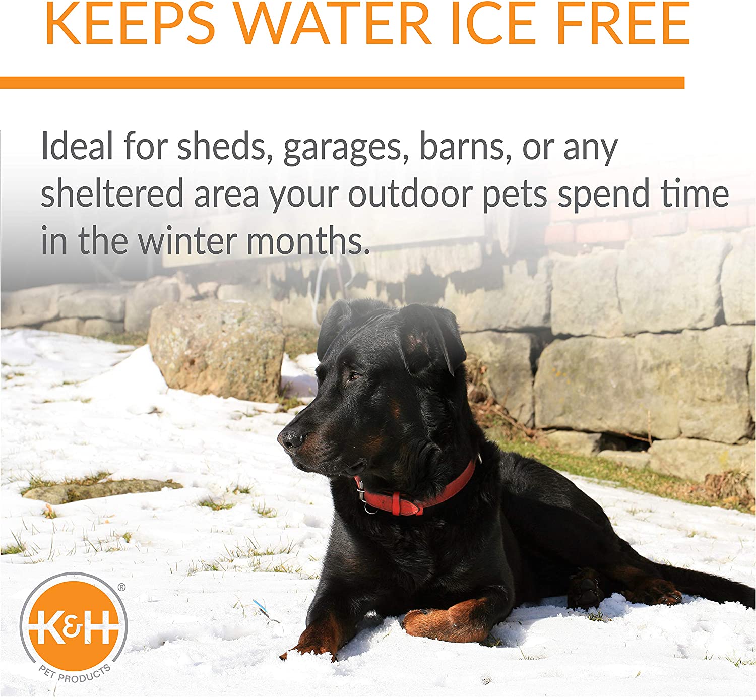 Heated Dog Bowl