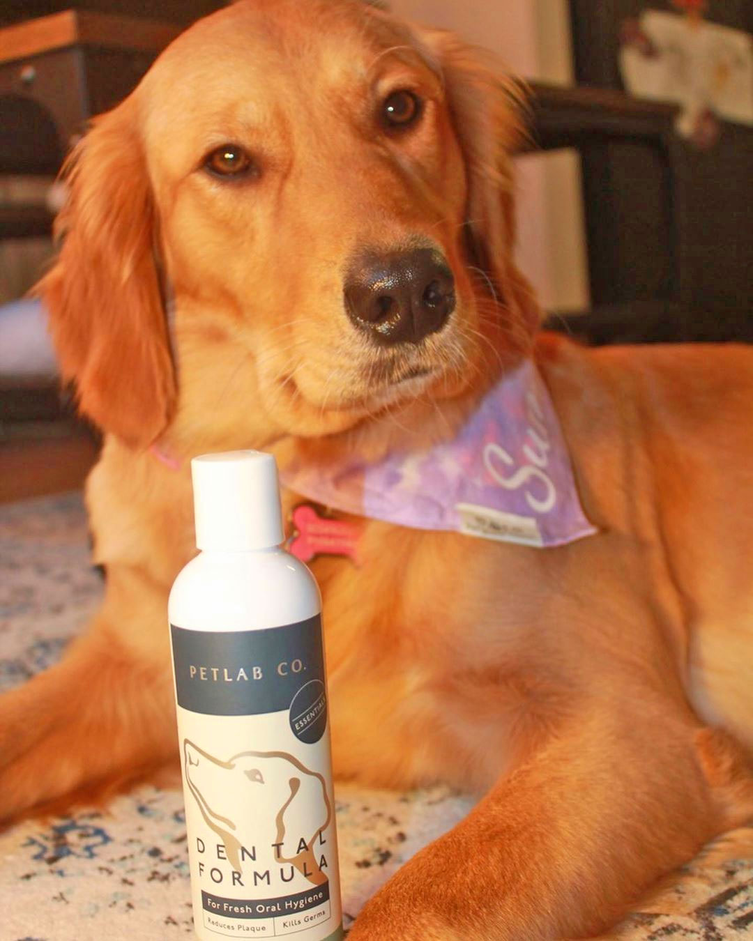 Dog Mouthwash