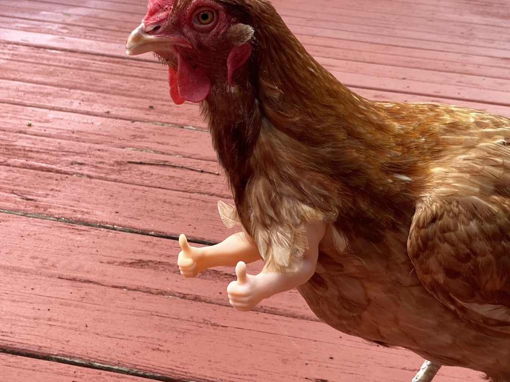 Funny fake chicken arms - thumbs up chicken arms