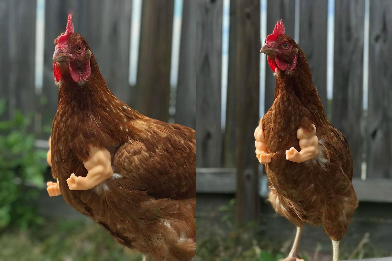 Funny fake chicken arms - Muscular chicken arms